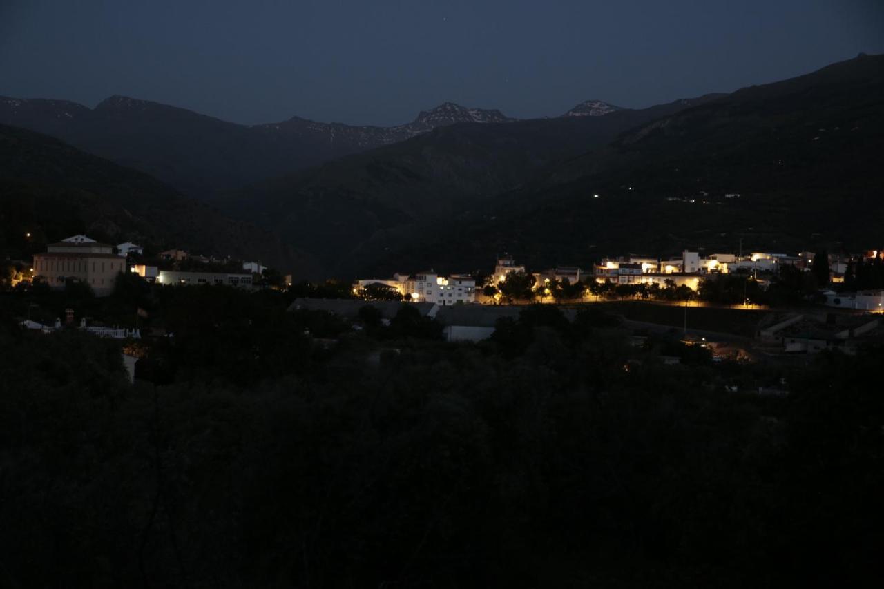 Alba Montis *