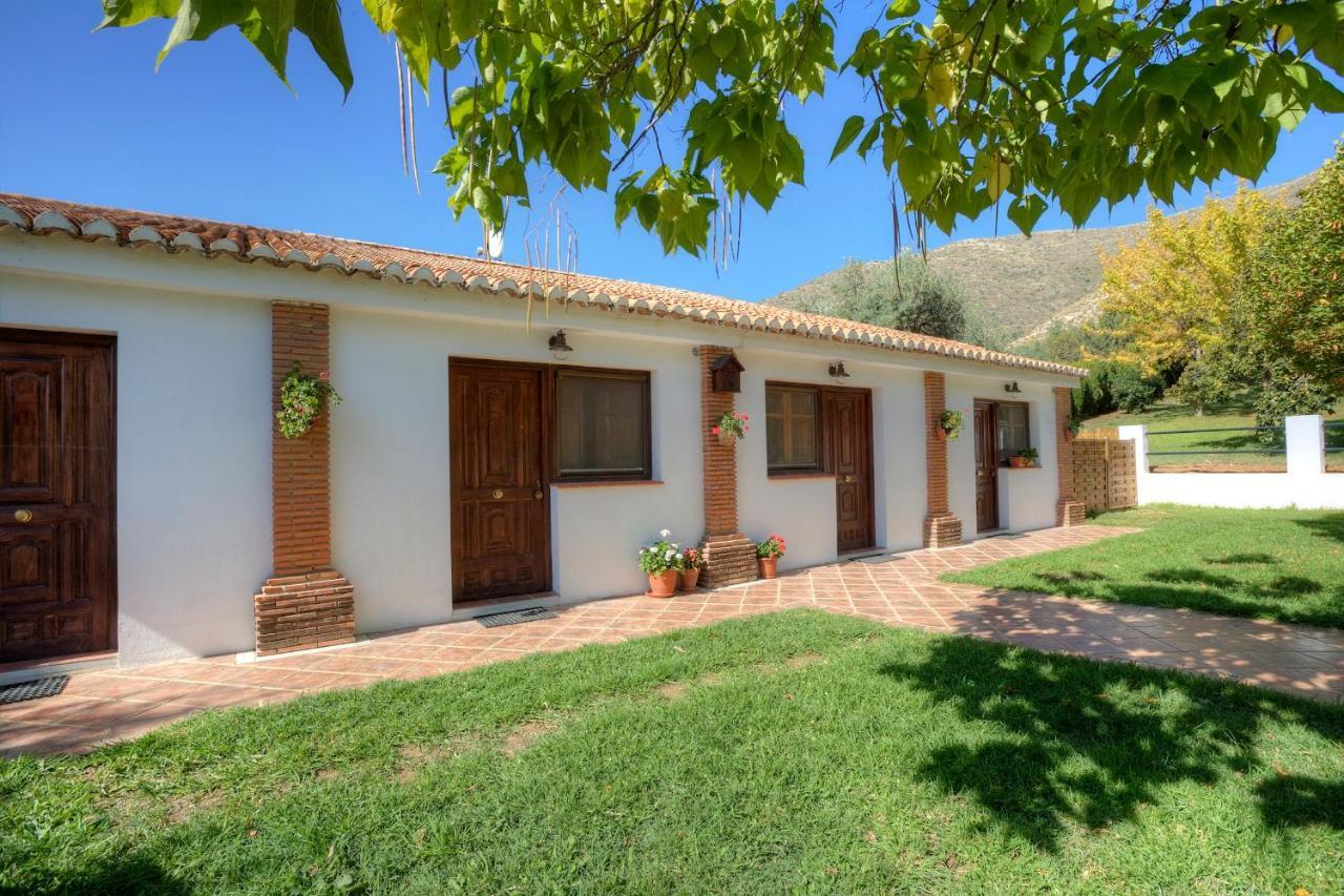 Appartement Alba Montis *