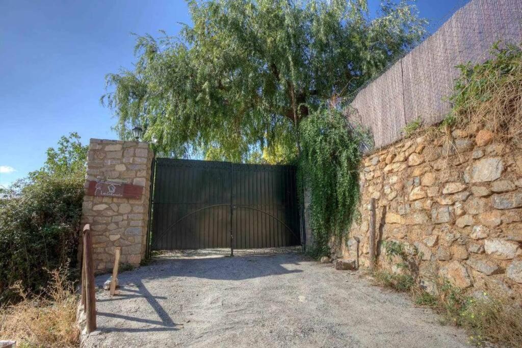 Apartament Alba Montis *